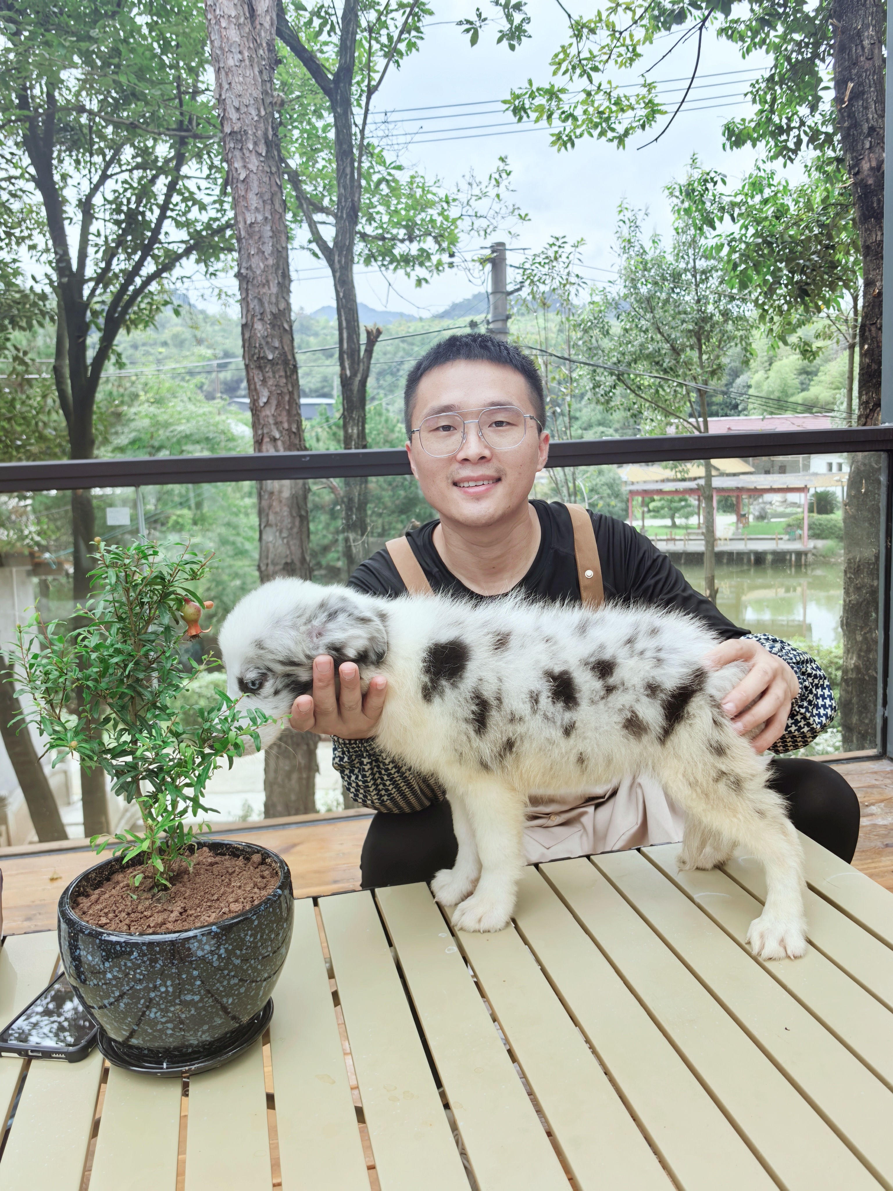 不符合四个购买条件的朋友,请勿直接下单(不发货)